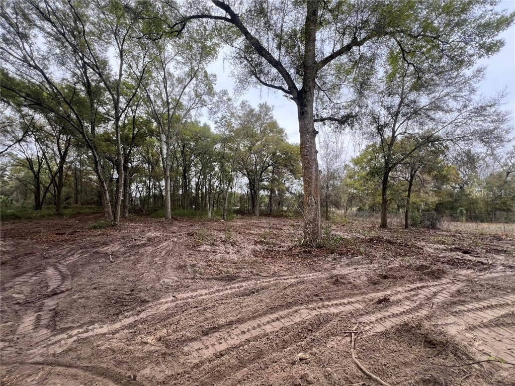 15574 Rockingham Lane Spring Hill FL 34610 TB8461635 image6