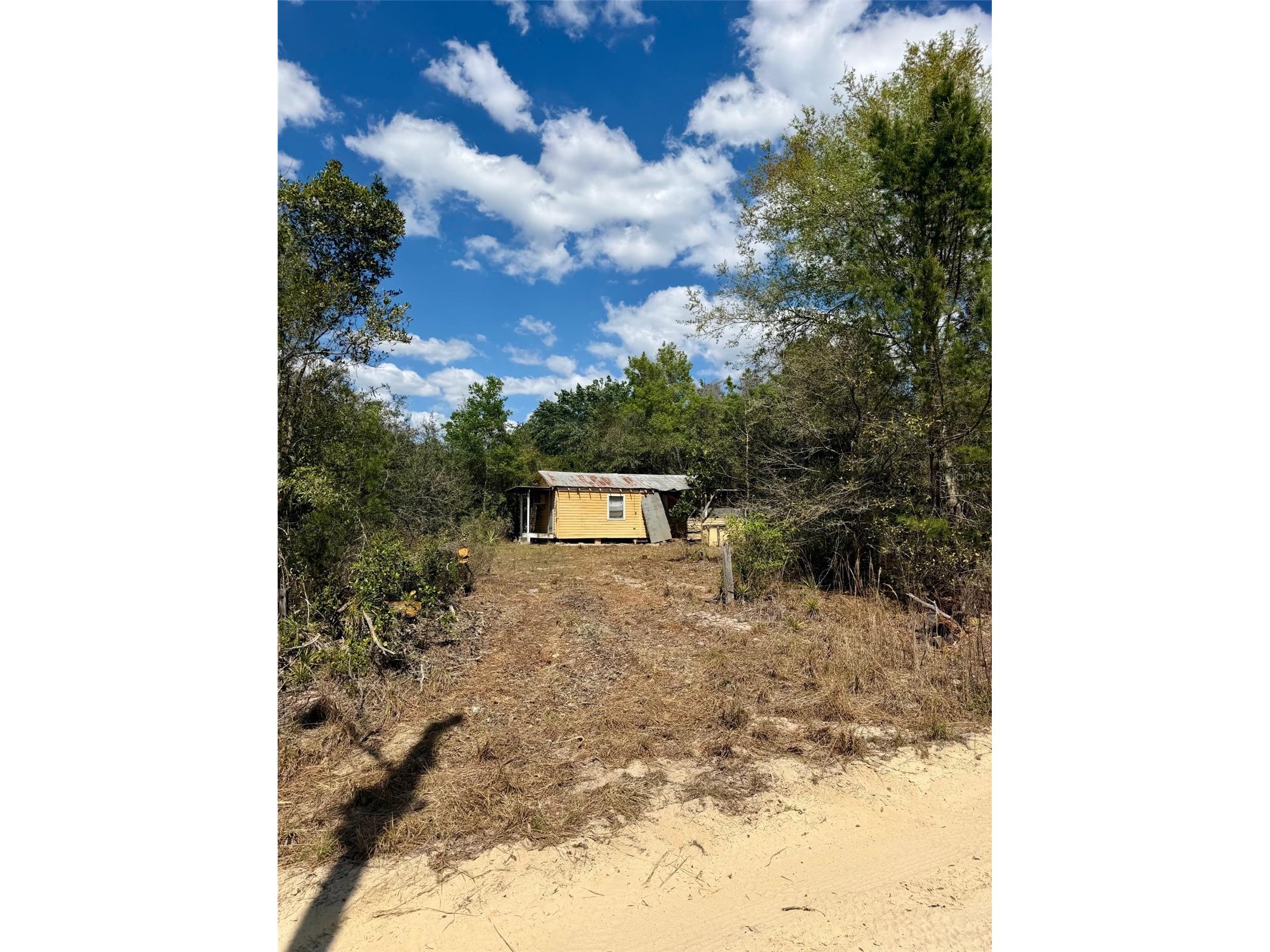 15575 NE 234th Place Fort Mc Coy FL 32134 OM720618 image1