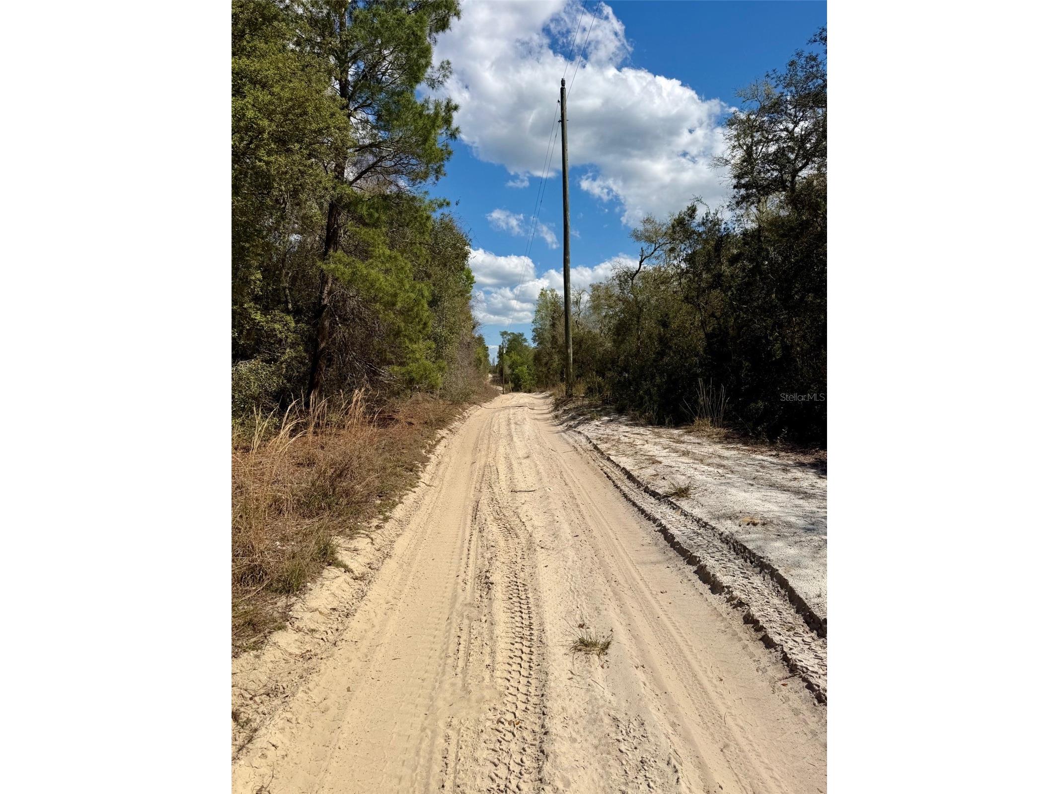 15575 NE 234th Place Fort Mc Coy FL 32134 OM720618 image4