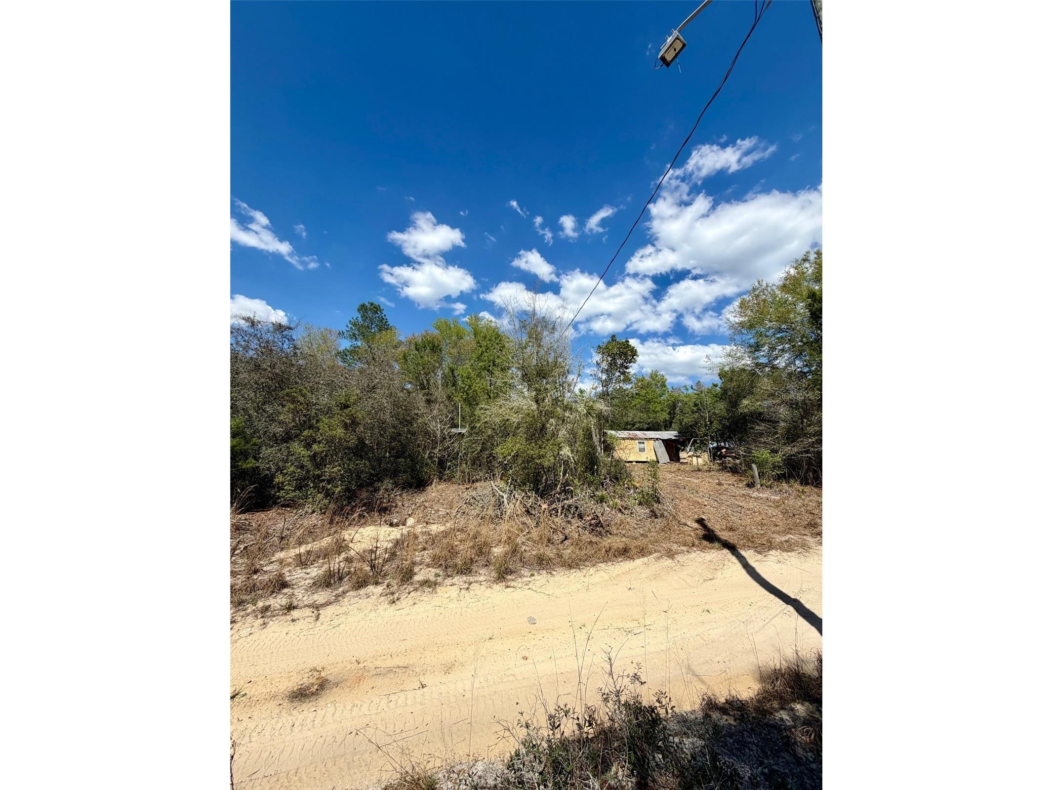 15575 NE 234th Place Fort Mc Coy FL 32134 OM720618 image6