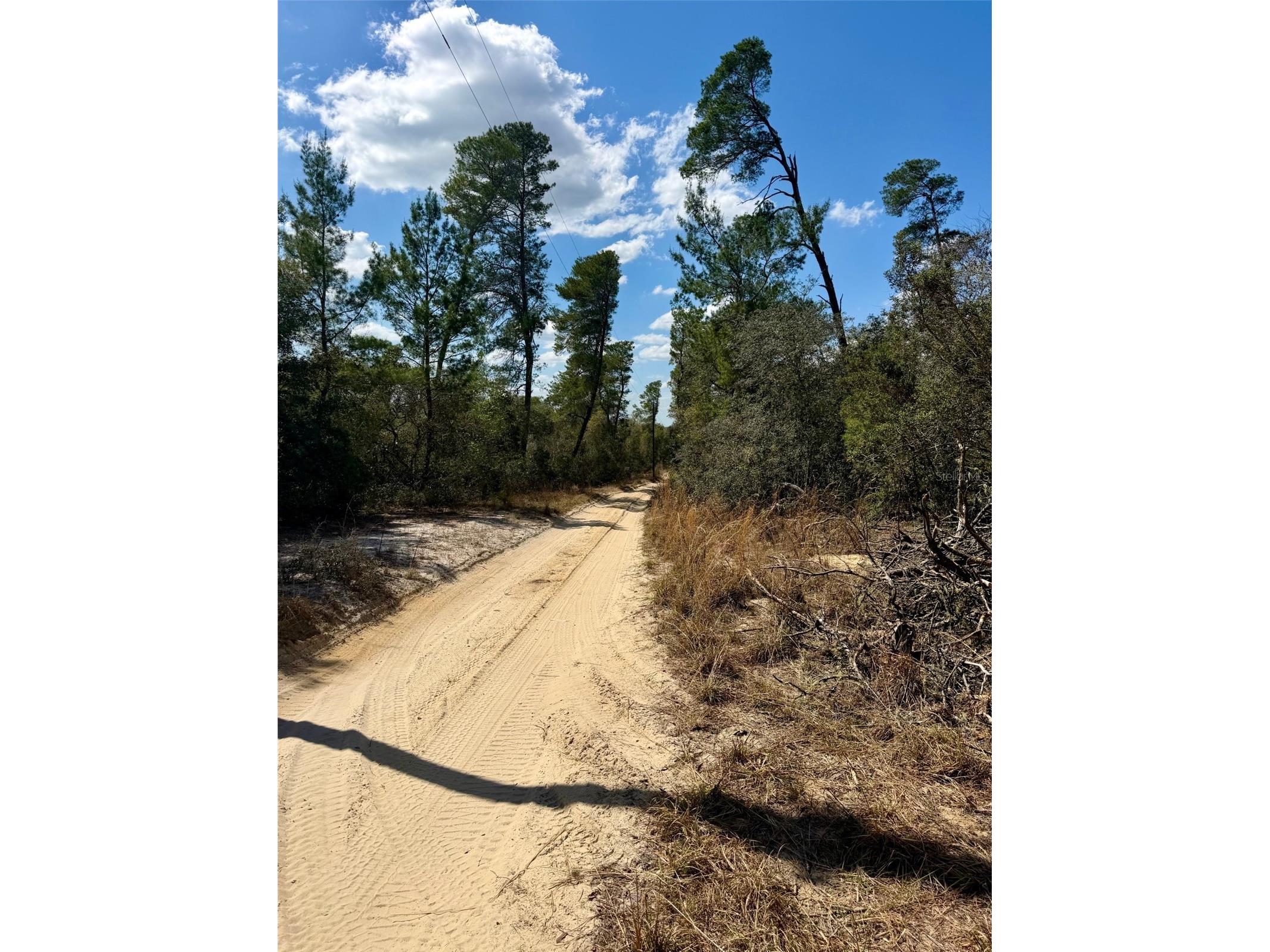 15575 NE 234th Place Fort Mc Coy FL 32134 OM720618 image9