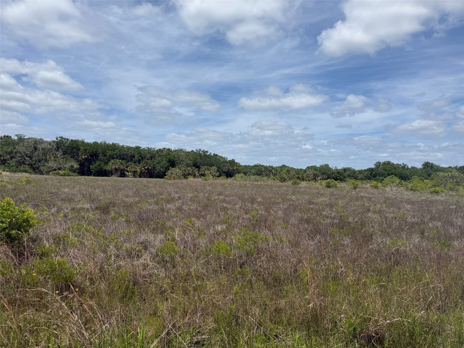 15575 NW 296th Street Okeechobee FL 34972 K4903369 image1