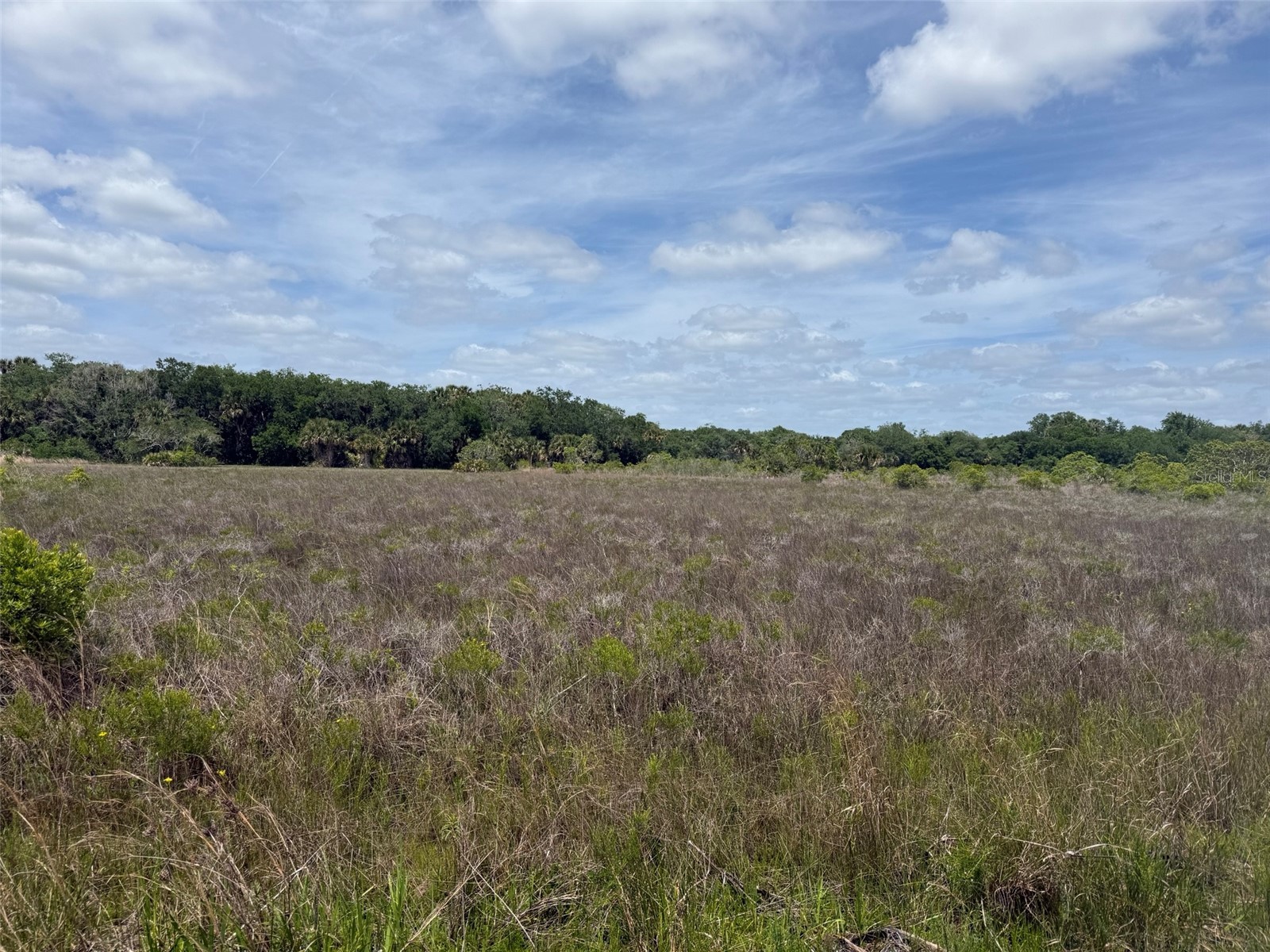 15575 NW 296th Street Okeechobee FL 34972 K4903369 image2