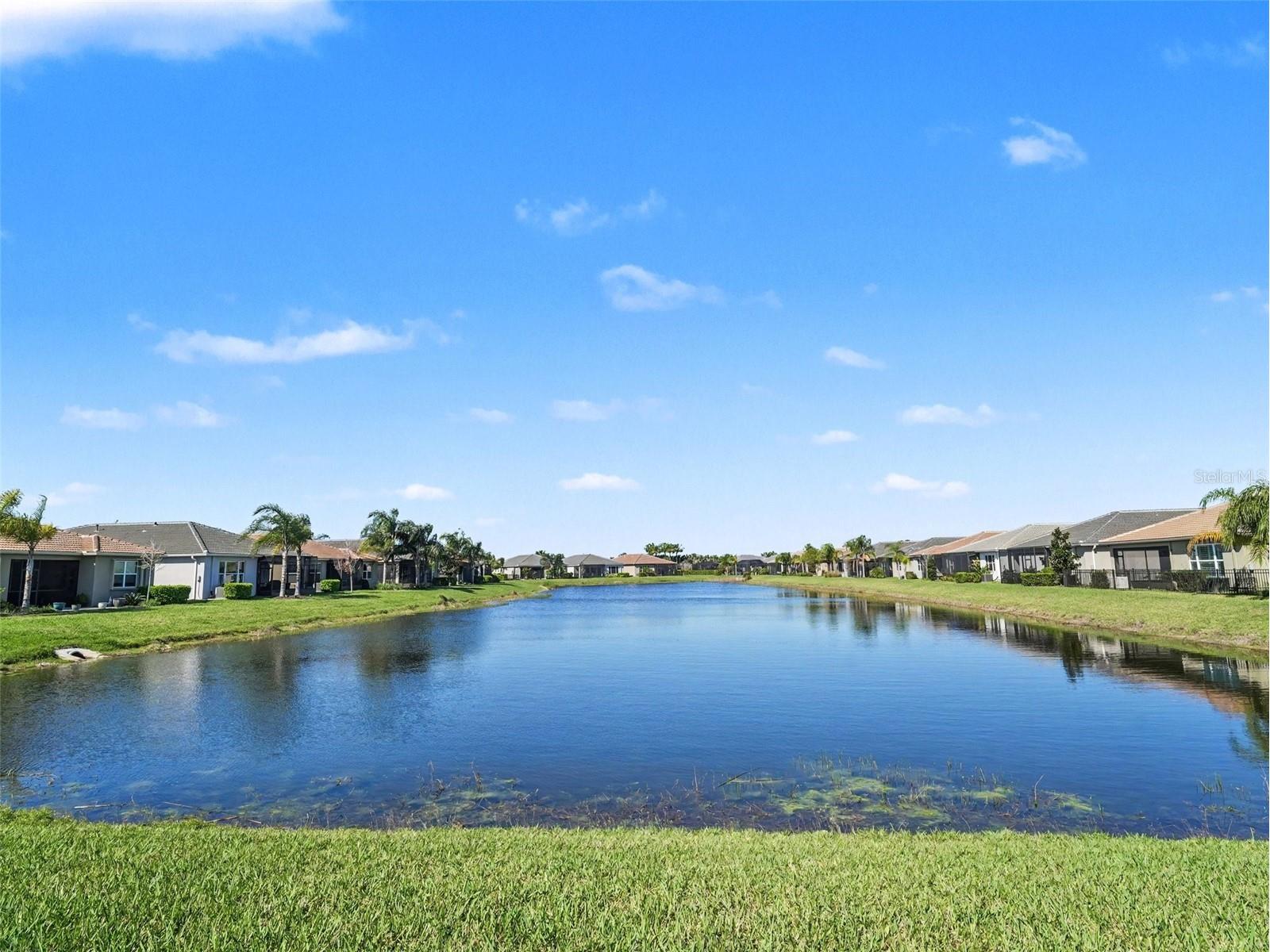 15576 Santa Pola Drive Wimauma FL 33598 TB8488631 image26