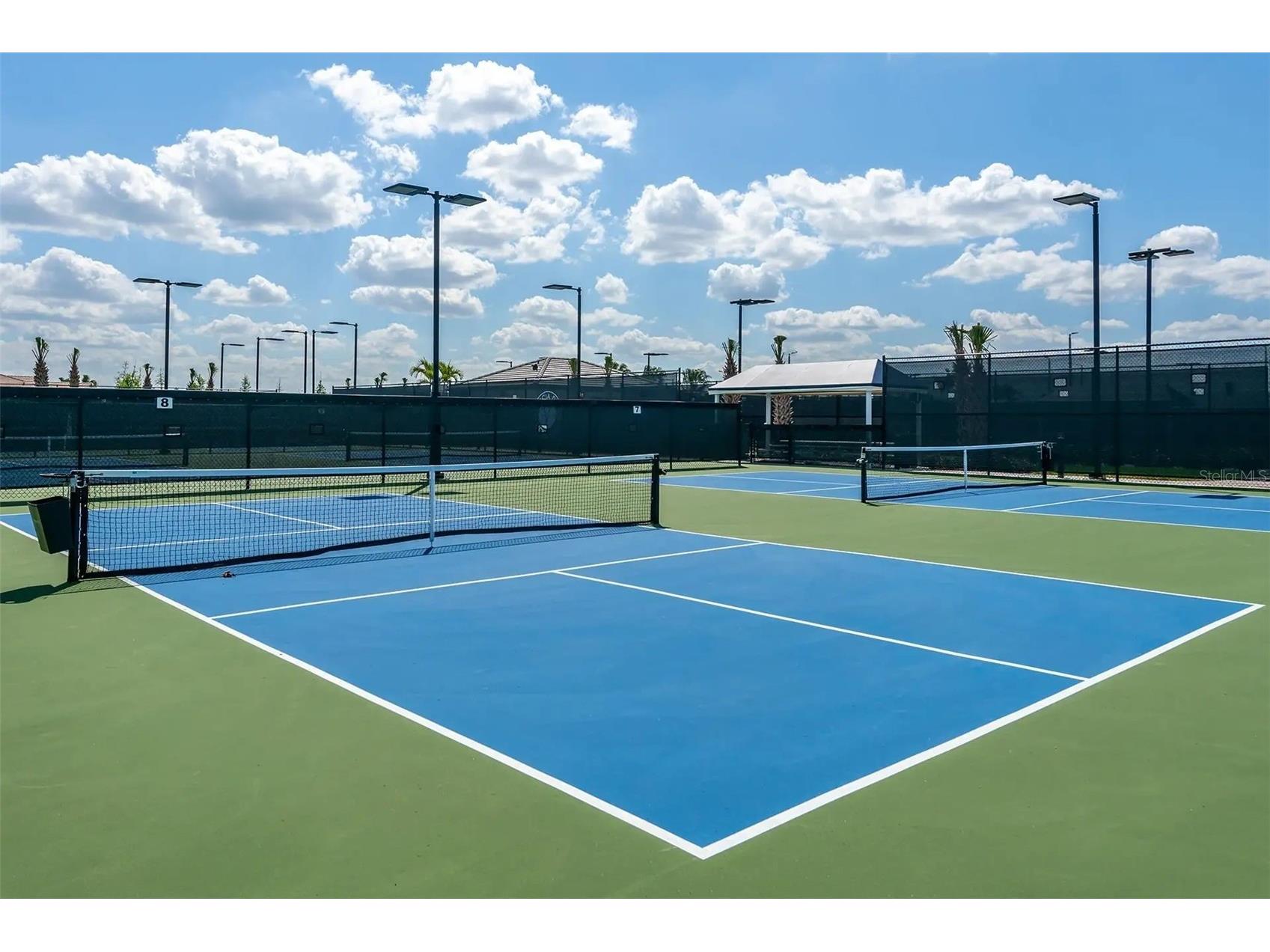 15576 Santa Pola Drive Wimauma FL 33598 TB8488631 image32