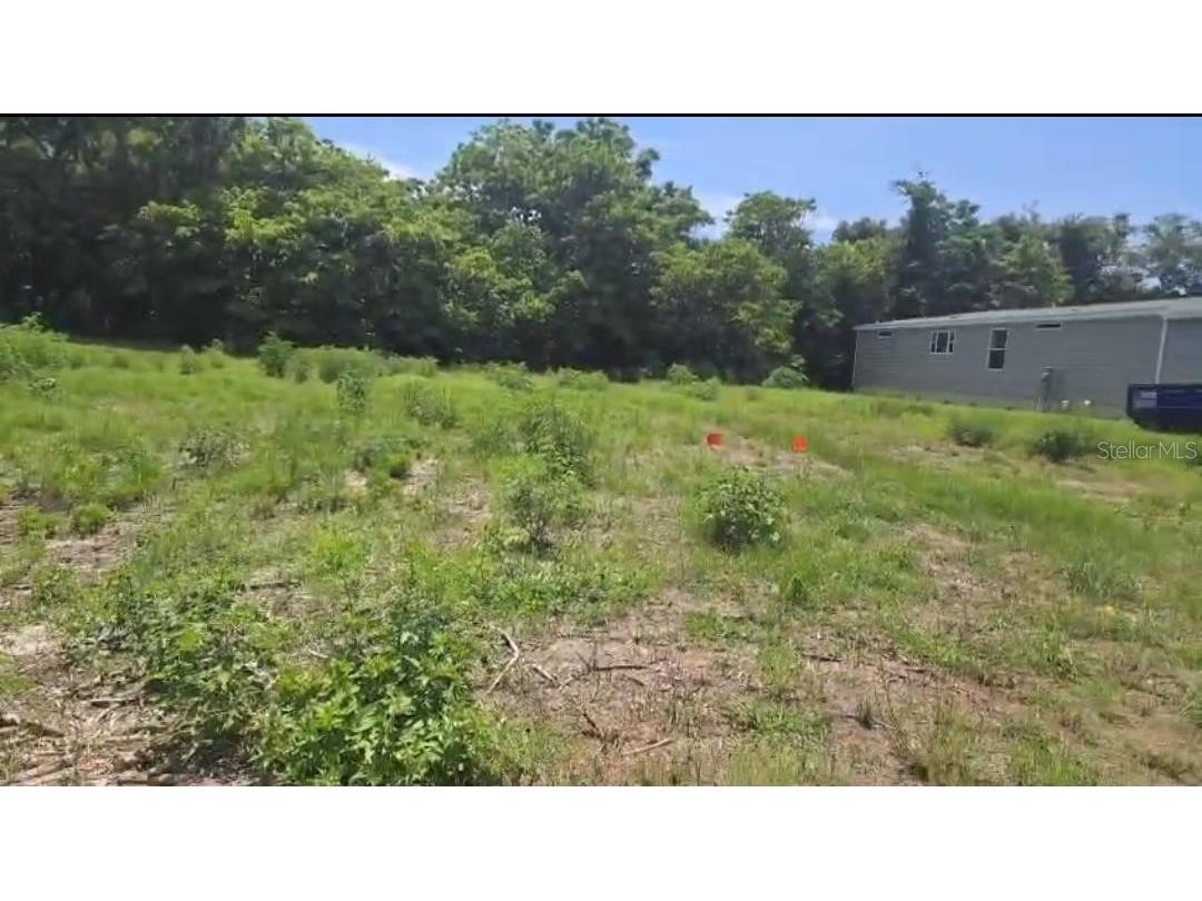15579 Charmwood Drive Hudson FL 34667 TB8525471 image4