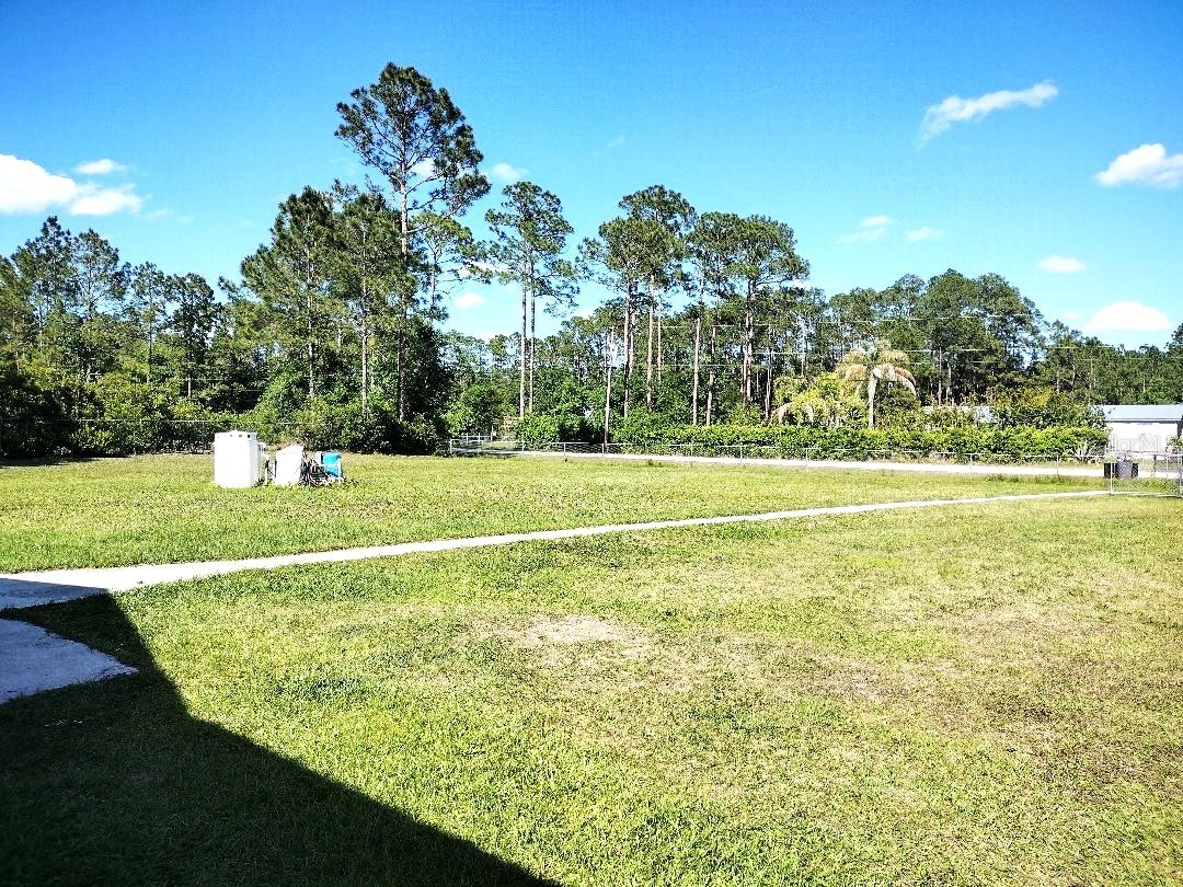 1558 Candleberry Street Bunnell FL 32110 FC318046 image33