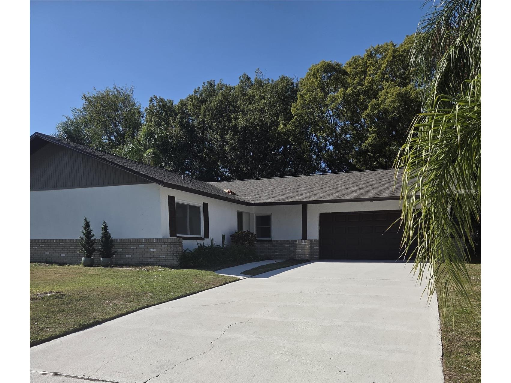 1558 Cottonwood Terrace Dunedin FL 34698 TB8393587 image1