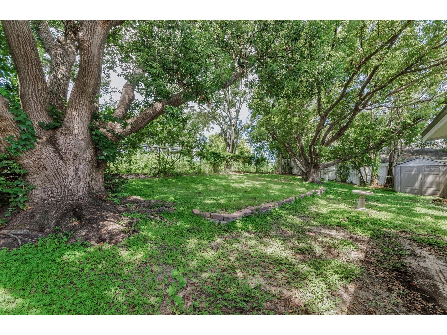 1558 Cottonwood Terrace Dunedin FL 34698 TB8393587 image33