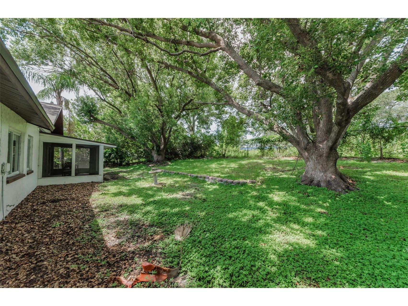 1558 Cottonwood Terrace Dunedin FL 34698 TB8393587 image34