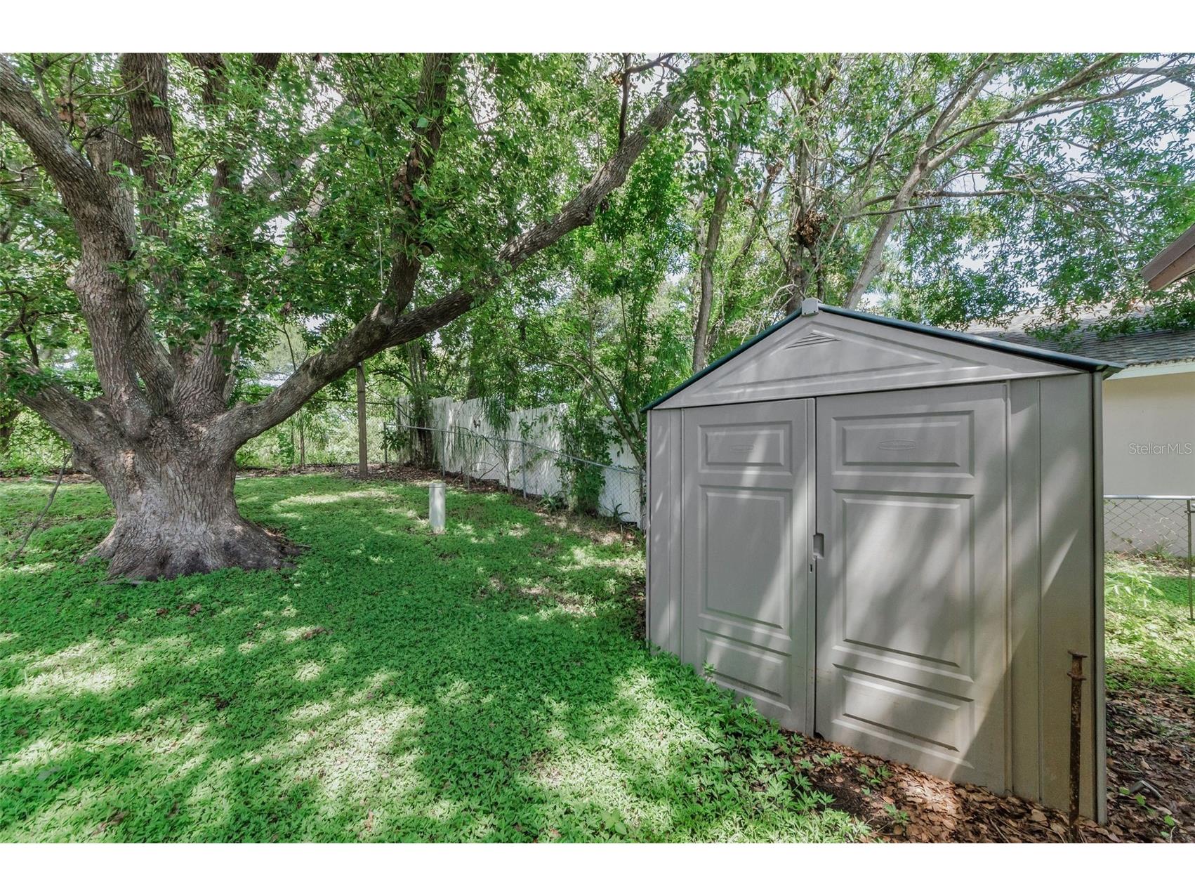 1558 Cottonwood Terrace Dunedin FL 34698 TB8393587 image35