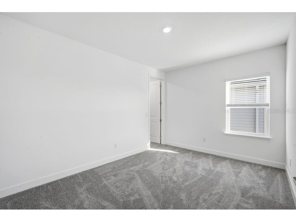 1558 Trailhead Lane Zephyrhills FL 33541 TB8455048 image14