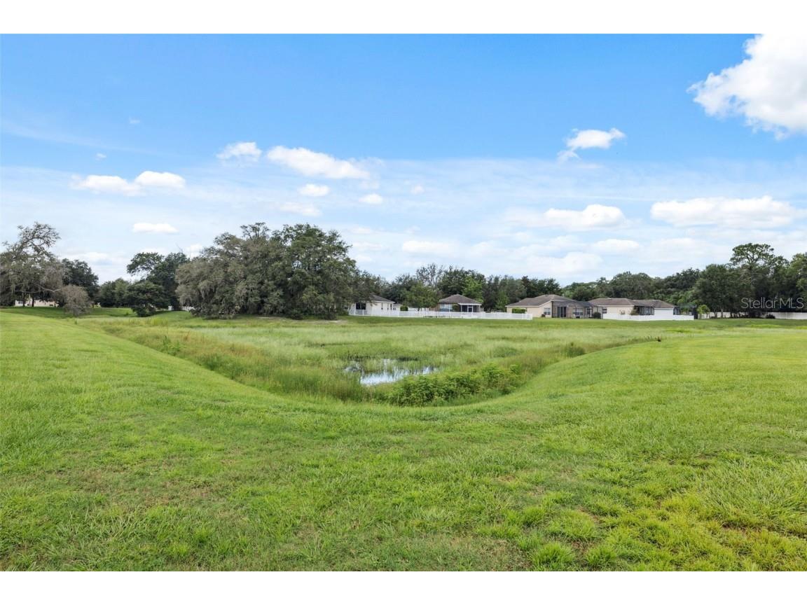 15585 Lily Wood Lane Brooksville FL 34604 W7877508 image7