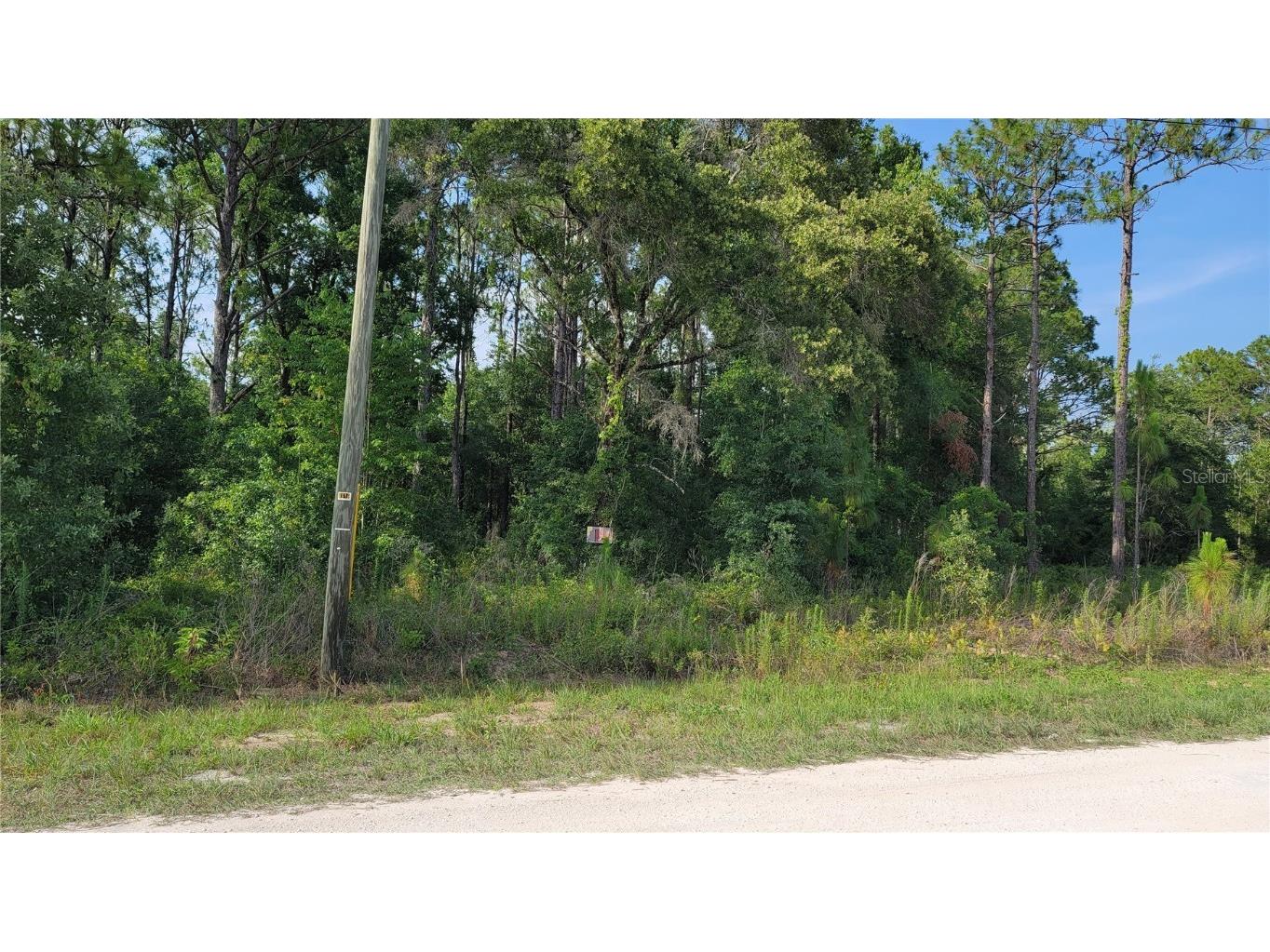 15586 Cliff Swallow Road Weeki Wachee FL 34614 U8243035 image1