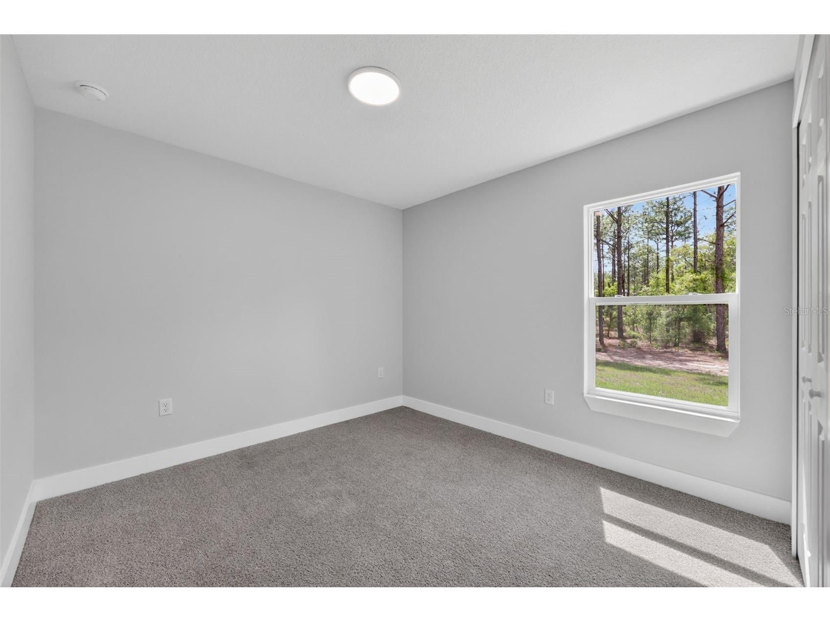15586 SW 38th Place Ocala FL 34481 OM719833 image22