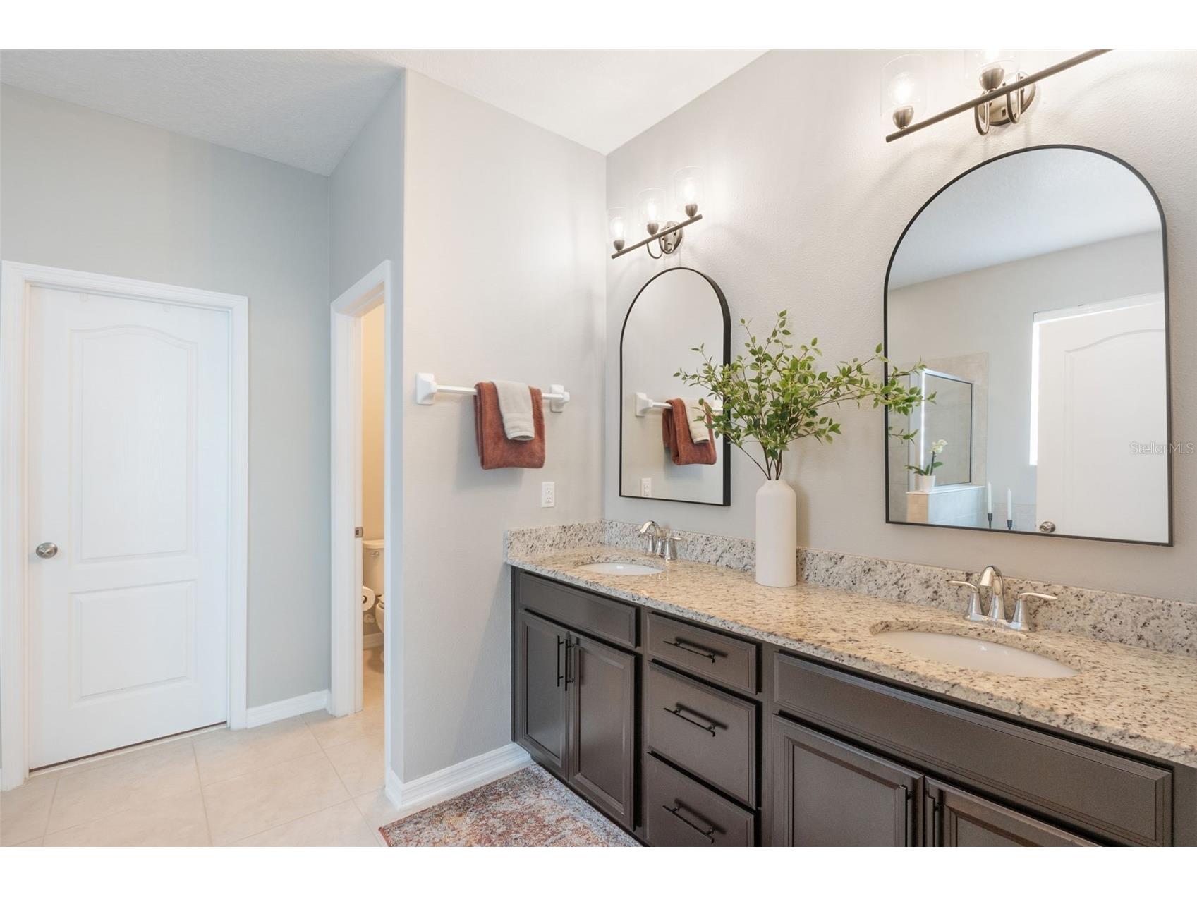 15587 Hamlin Blossom Avenue Winter Garden FL 34787 O6418163 image19