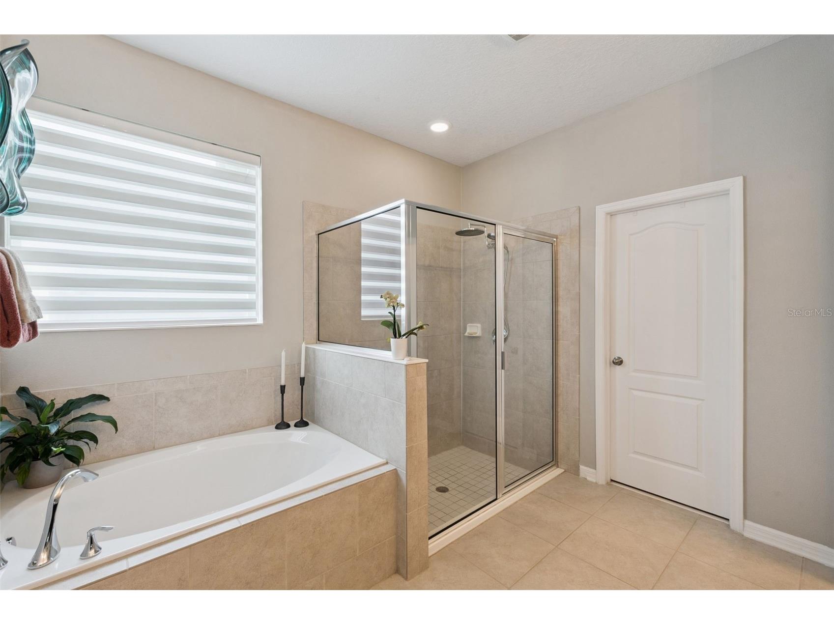 15587 Hamlin Blossom Avenue Winter Garden FL 34787 O6418163 image20