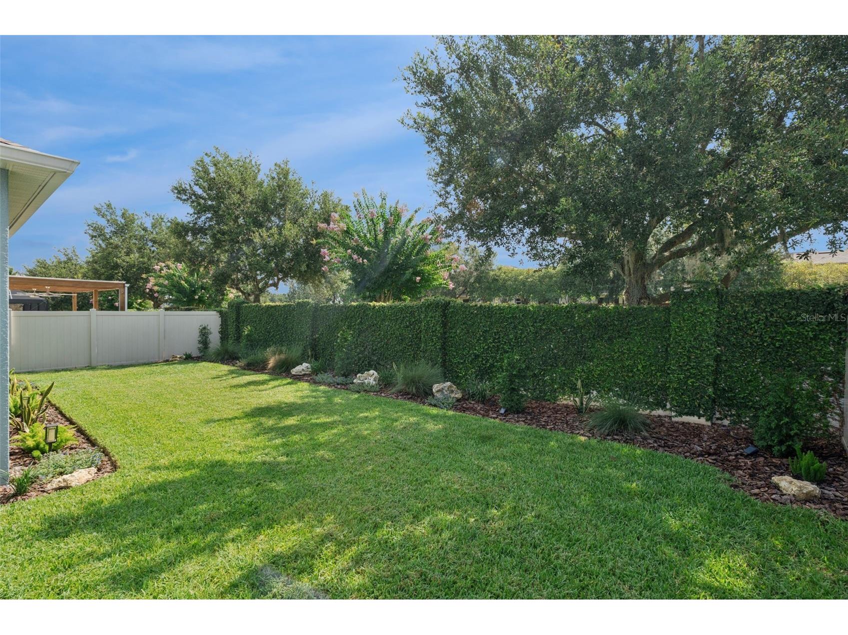 15587 Hamlin Blossom Avenue Winter Garden FL 34787 O6418163 image33