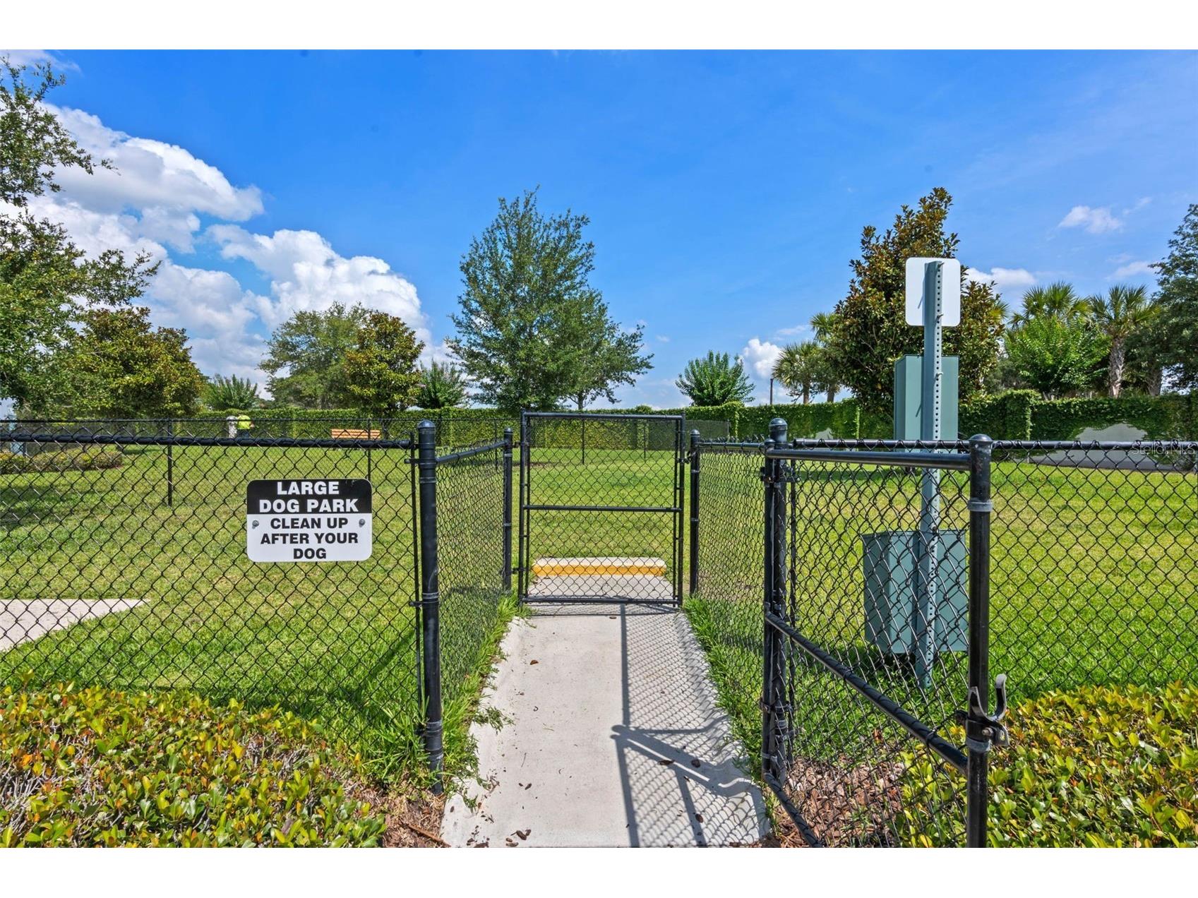 15587 Hamlin Blossom Avenue Winter Garden FL 34787 O6418163 image38