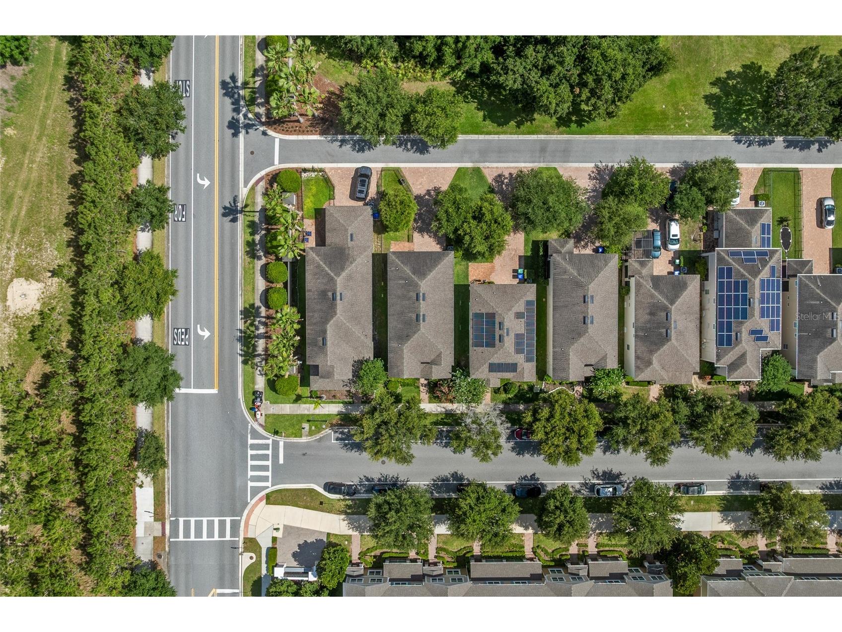 15587 Murcott Blossom Boulevard Winter Garden FL 34787 O6415333 image38