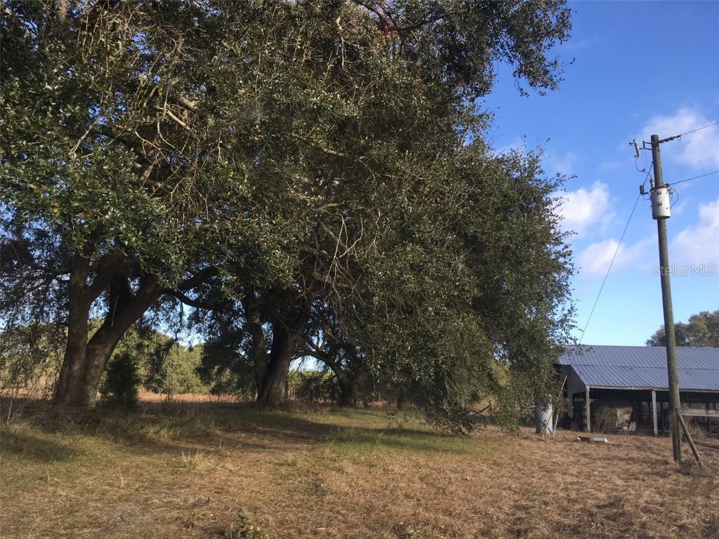 15589 104th Street Live Oak FL 32060 V4935841 image8