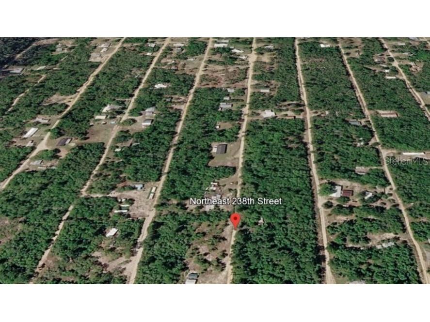 15589 NE 238th Street Fort Mc Coy FL 32134 O6409245 image1