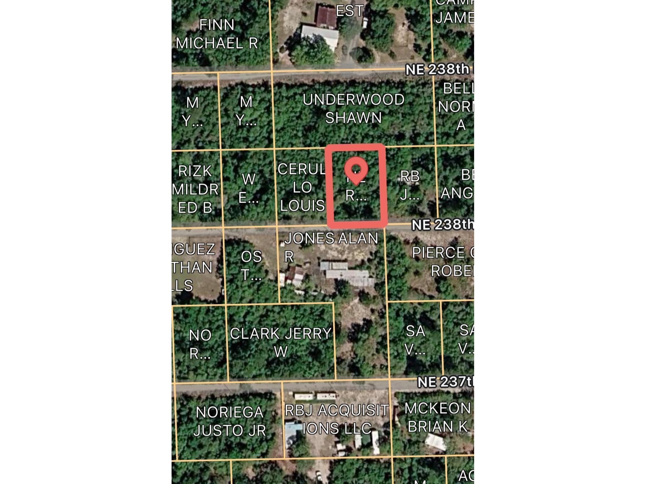 15589 NE 238th Street Fort Mc Coy FL 32134 O6409245 image2