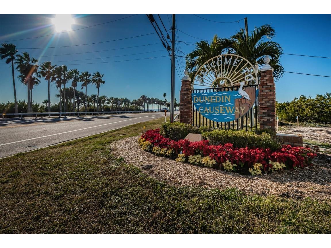 1559 Roxburg Lane Dunedin FL 34698 TB8452251 image26