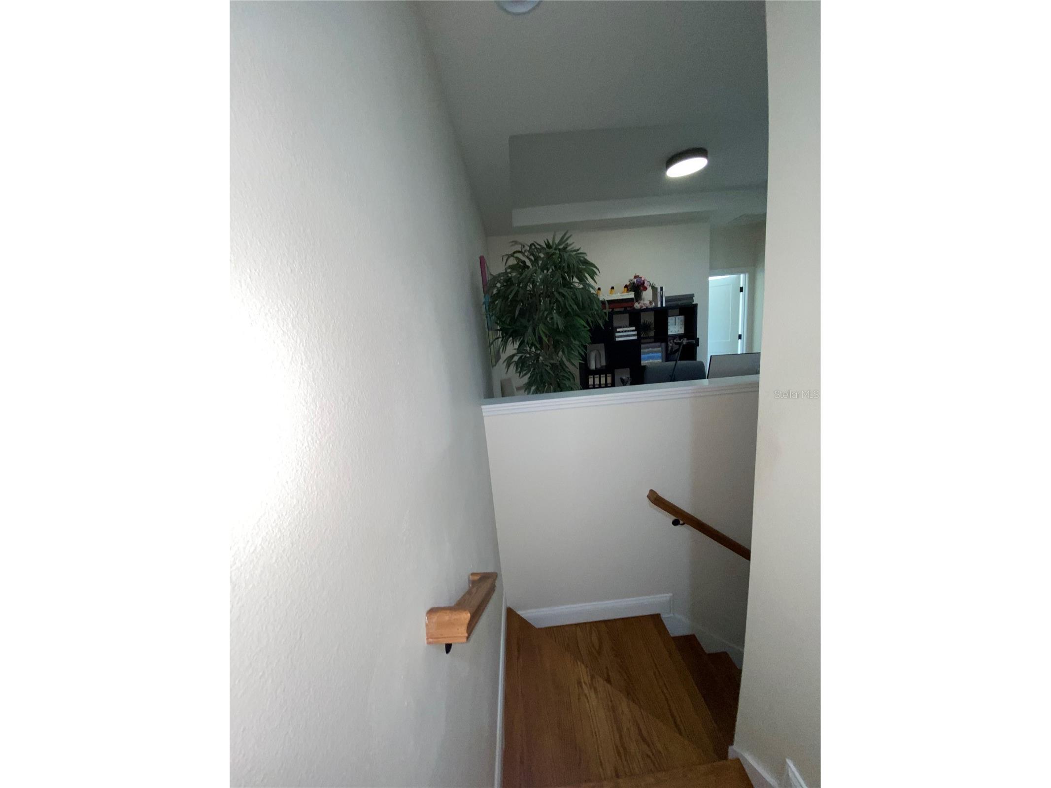 15590 Murcott Blossom Boulevard Winter Garden FL 34787 S5140558 image12