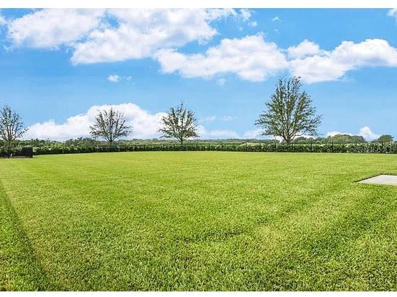 15590 Murcott Blossom Boulevard Winter Garden FL 34787 S5140558 image26