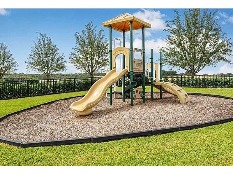 15590 Murcott Blossom Boulevard Winter Garden FL 34787 S5140558 image27