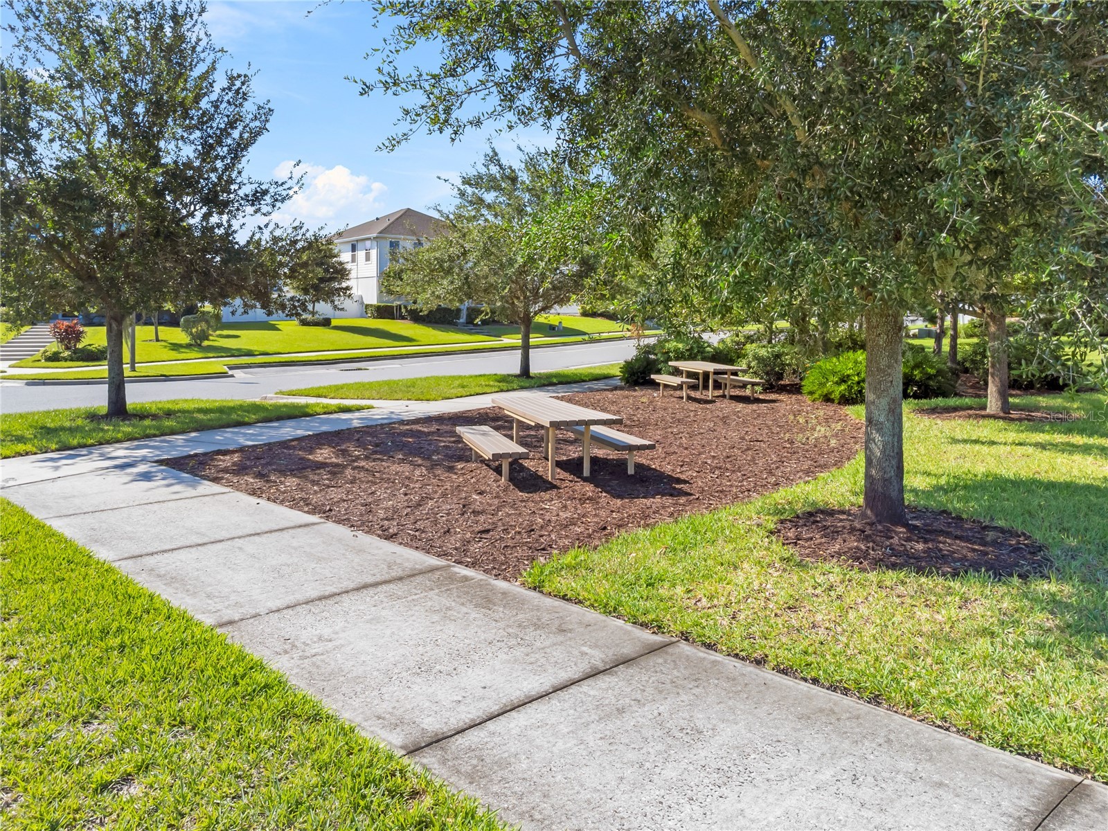 15591 Honeybell Drive Winter Garden FL 34787 O6408635 image46