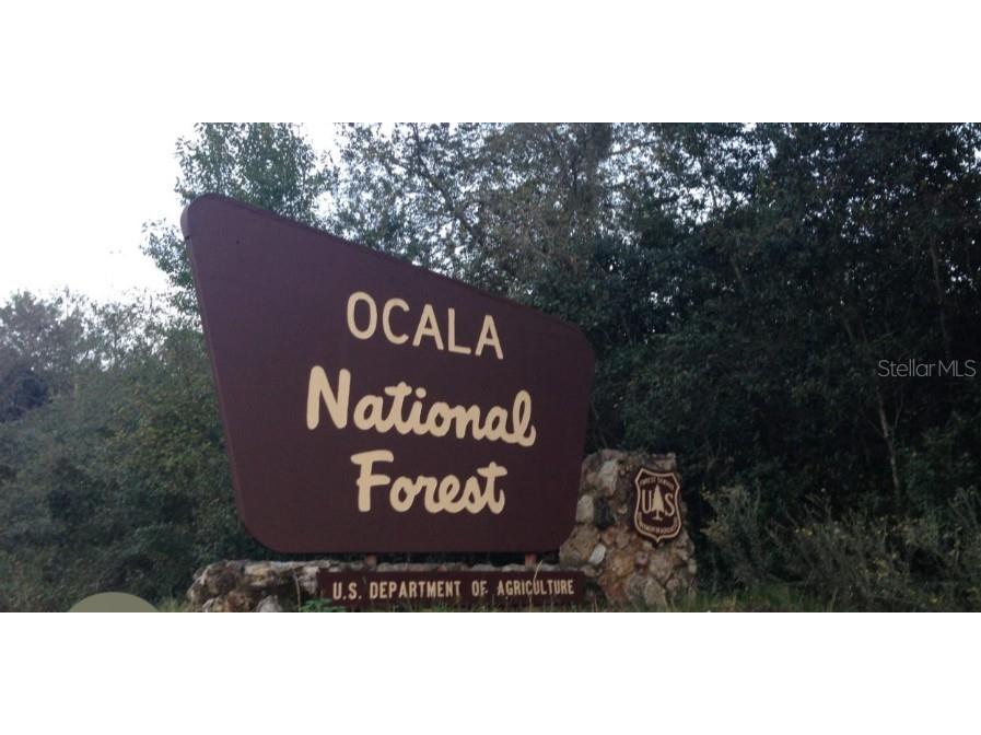 15594 NE 233rd Place Fort Mc Coy FL 32134 OM720866 image41