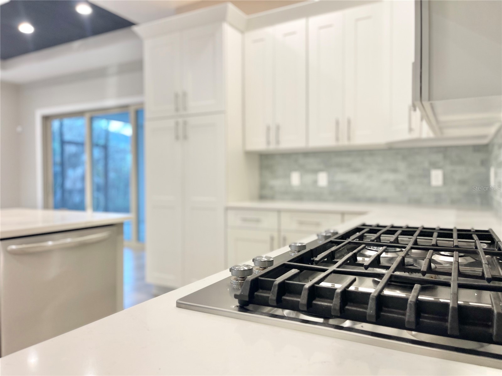 15594 Shorebird Lane Winter Garden FL 34787 S5147208 image15