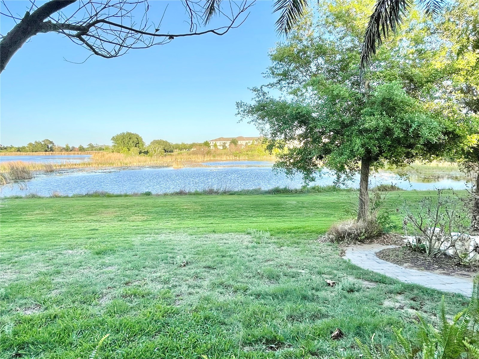 15594 Shorebird Lane Winter Garden FL 34787 S5147208 image36