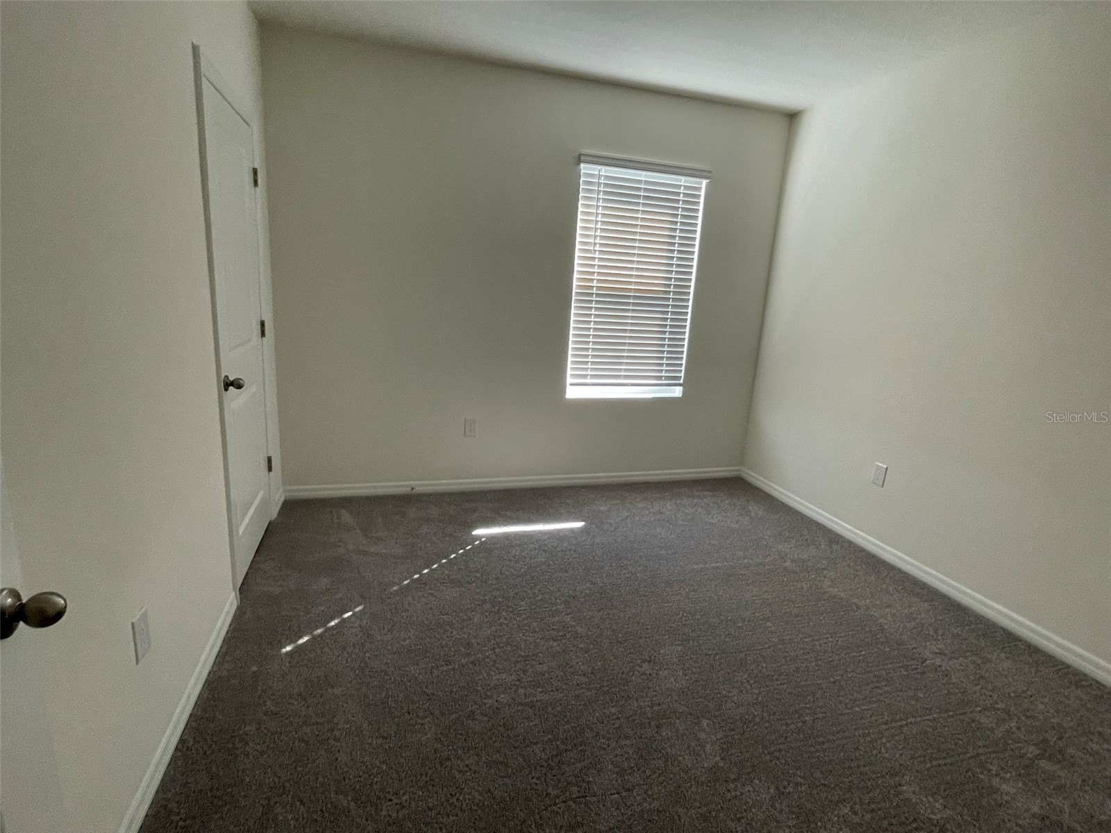 15596 Black Pepper Lane Odessa FL 33556 TB8507423 image17