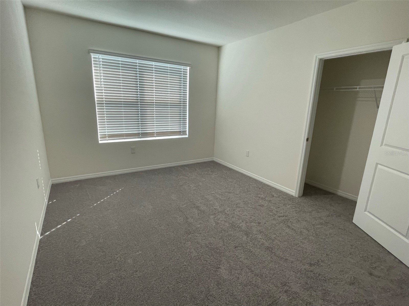 15596 Black Pepper Lane Odessa FL 33556 TB8507423 image21