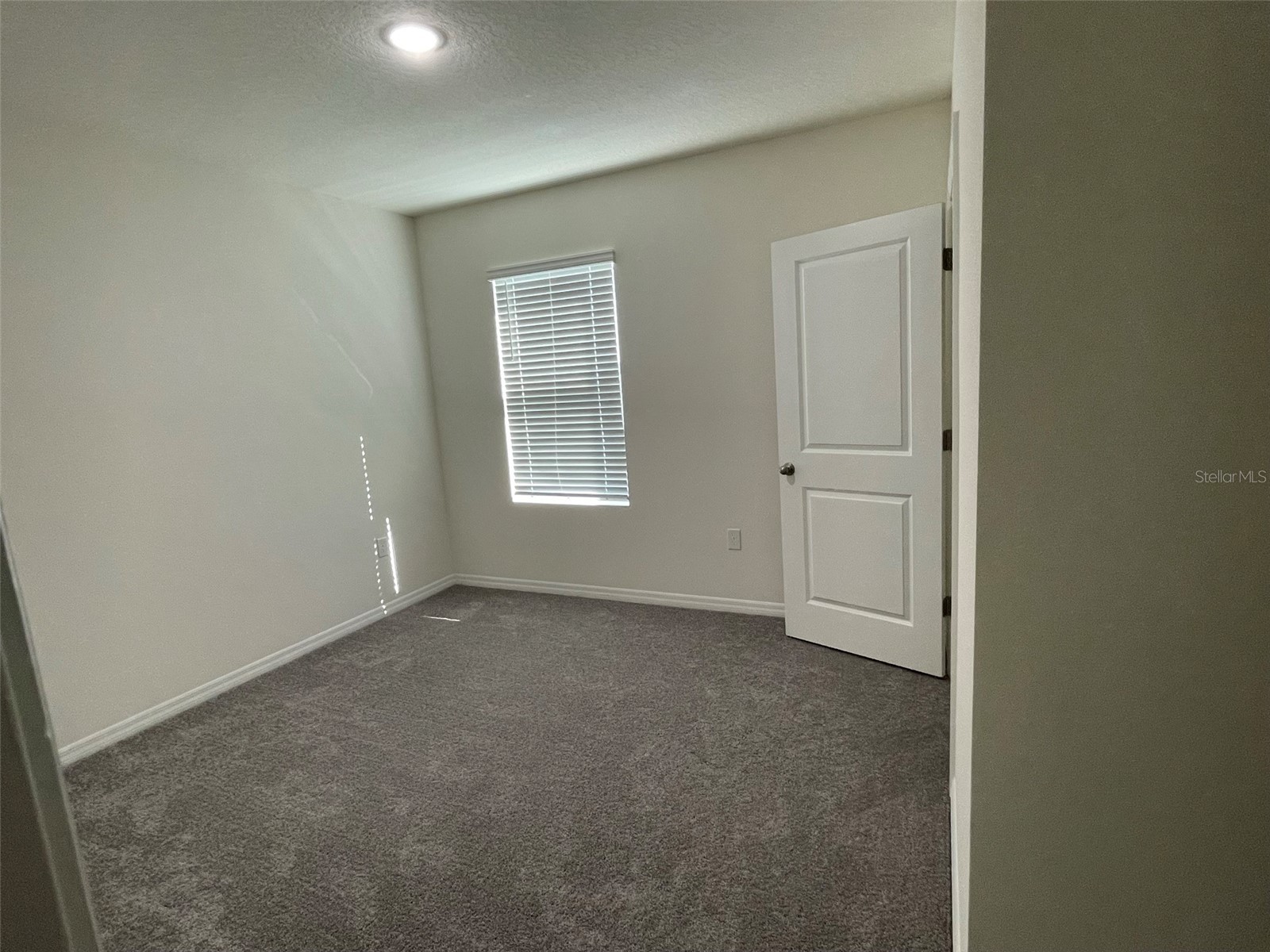 15596 Black Pepper Lane Odessa FL 33556 TB8507423 image23