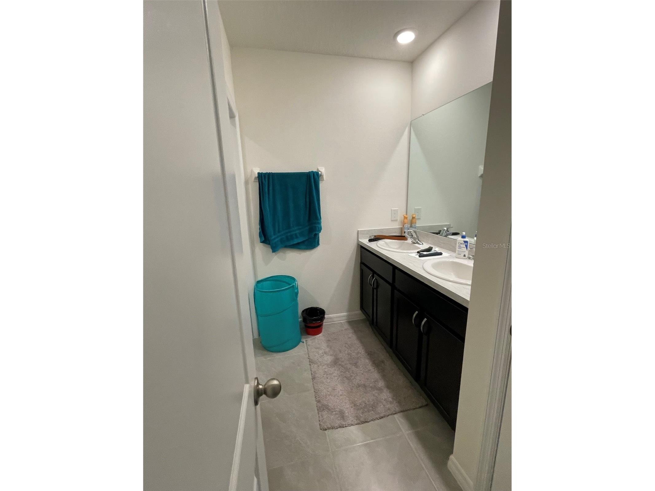 15596 Black Pepper Lane Odessa FL 33556 TB8507423 image24