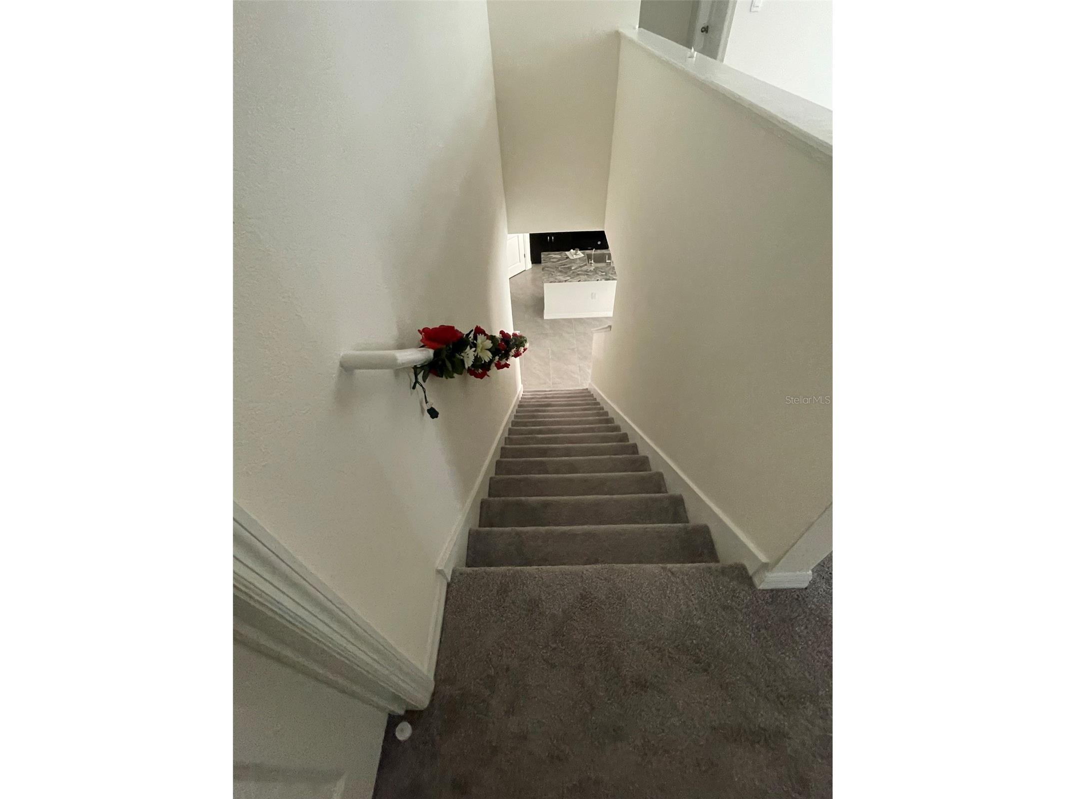 15596 Black Pepper Lane Odessa FL 33556 TB8507423 image30