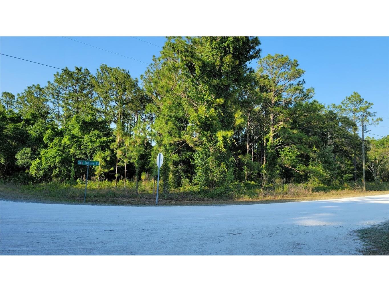 15596 Cliff Swallow Road Weeki Wachee FL 34614 U8242187 image1