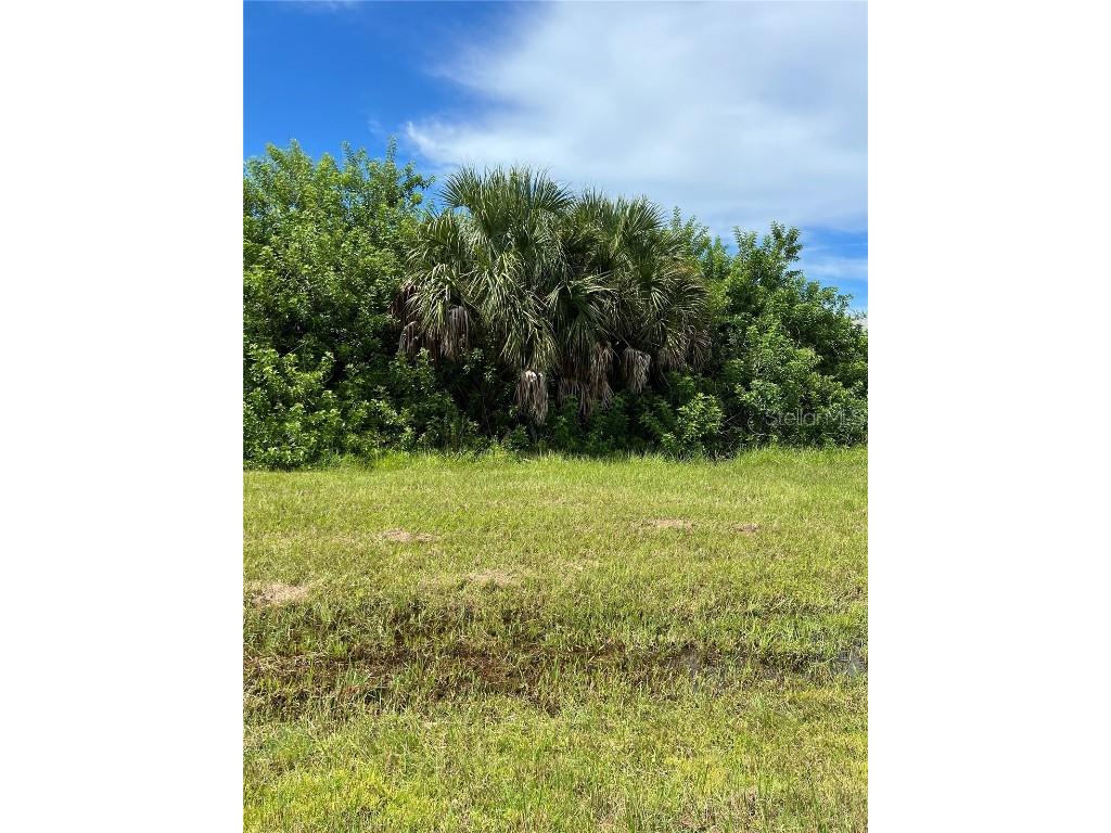 156 Cougar Way Rotonda West FL 33947 C7514883 image2