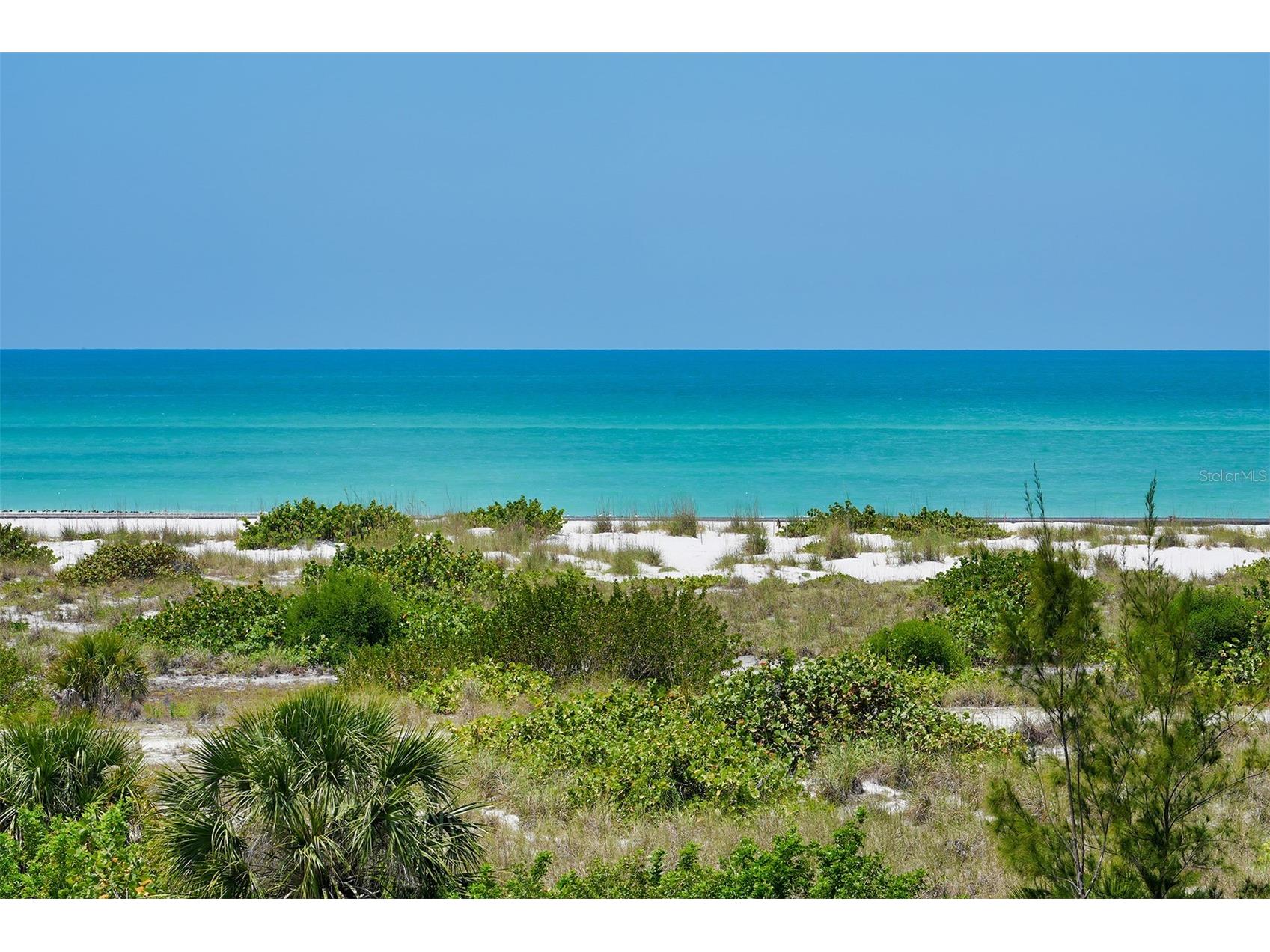 156 Emerson Drive Sarasota FL 34236 A4692362 image20