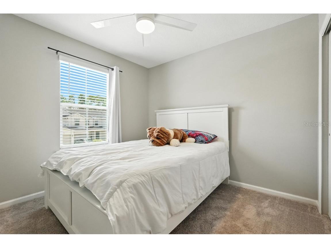 156 Great Star Court Saint Augustine FL 32086 FC311710 image23