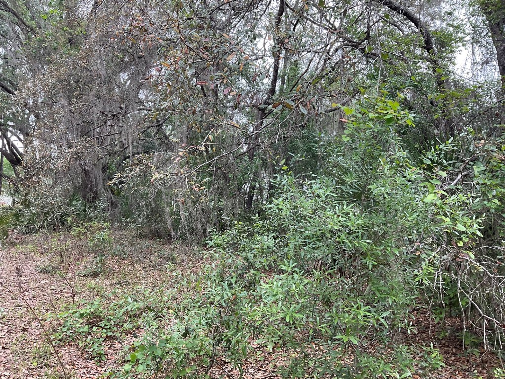 156 Jo Ann Street Hawthorne FL 32640 OM655927 image1