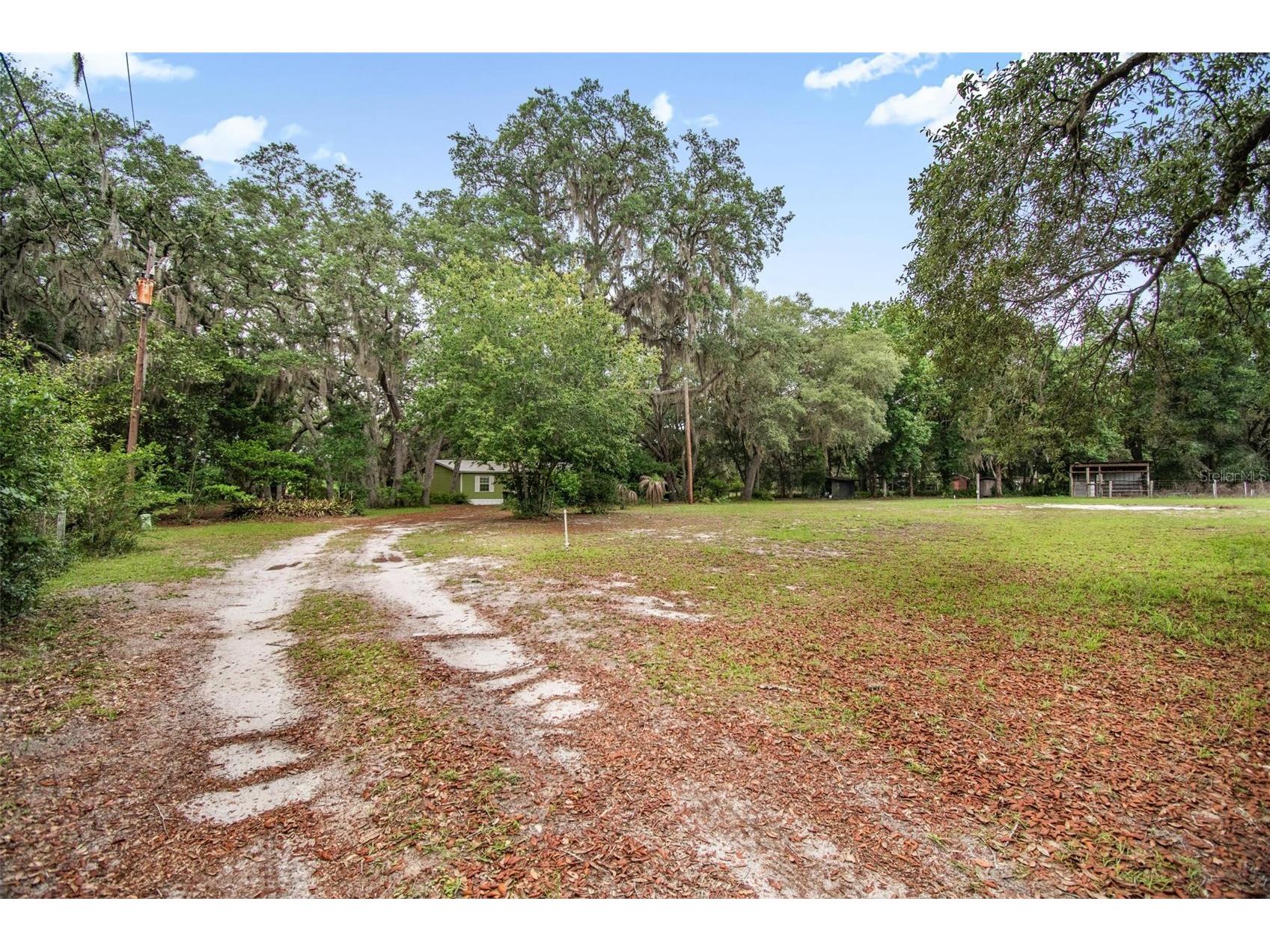 156 Kingfish Road Pomona Park FL 32181 FC318959 image11