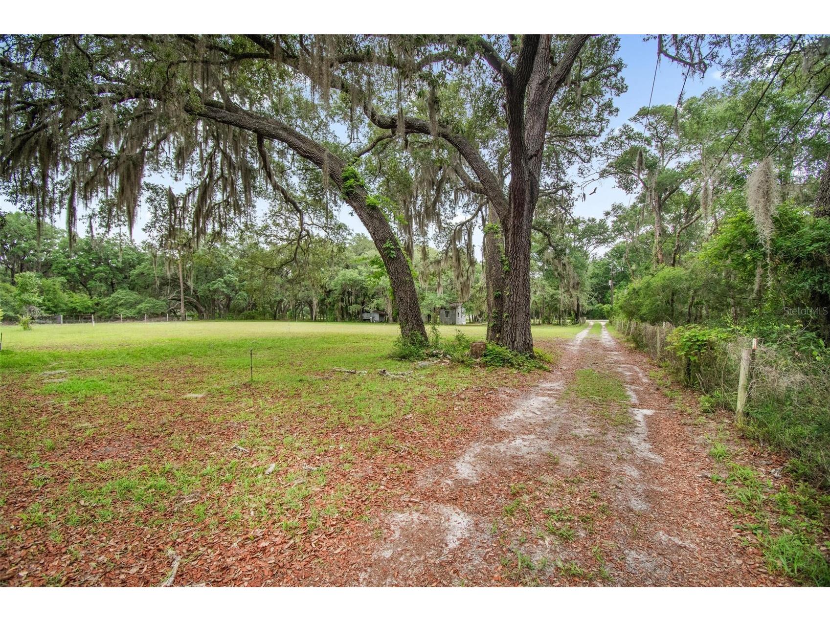 156 Kingfish Road Pomona Park FL 32181 FC318959 image12
