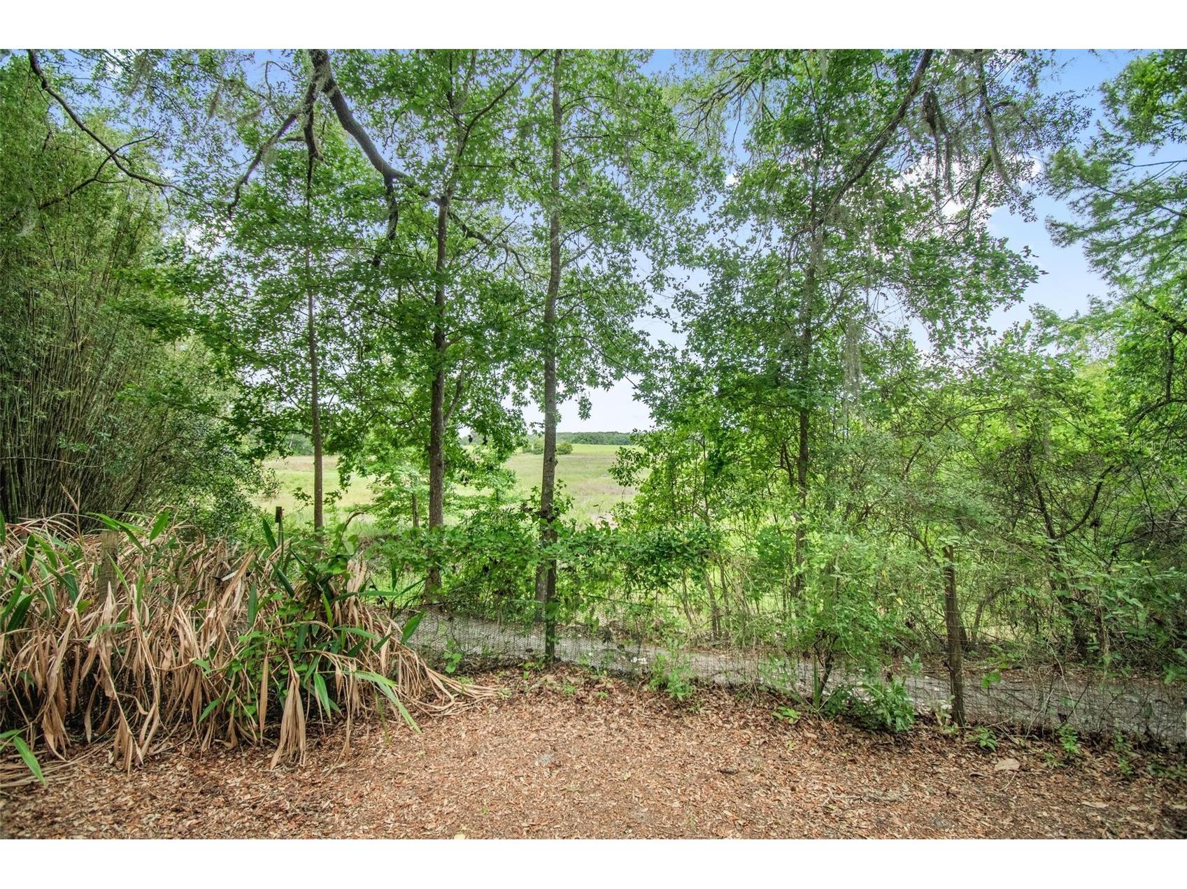 156 Kingfish Road Pomona Park FL 32181 FC318959 image46