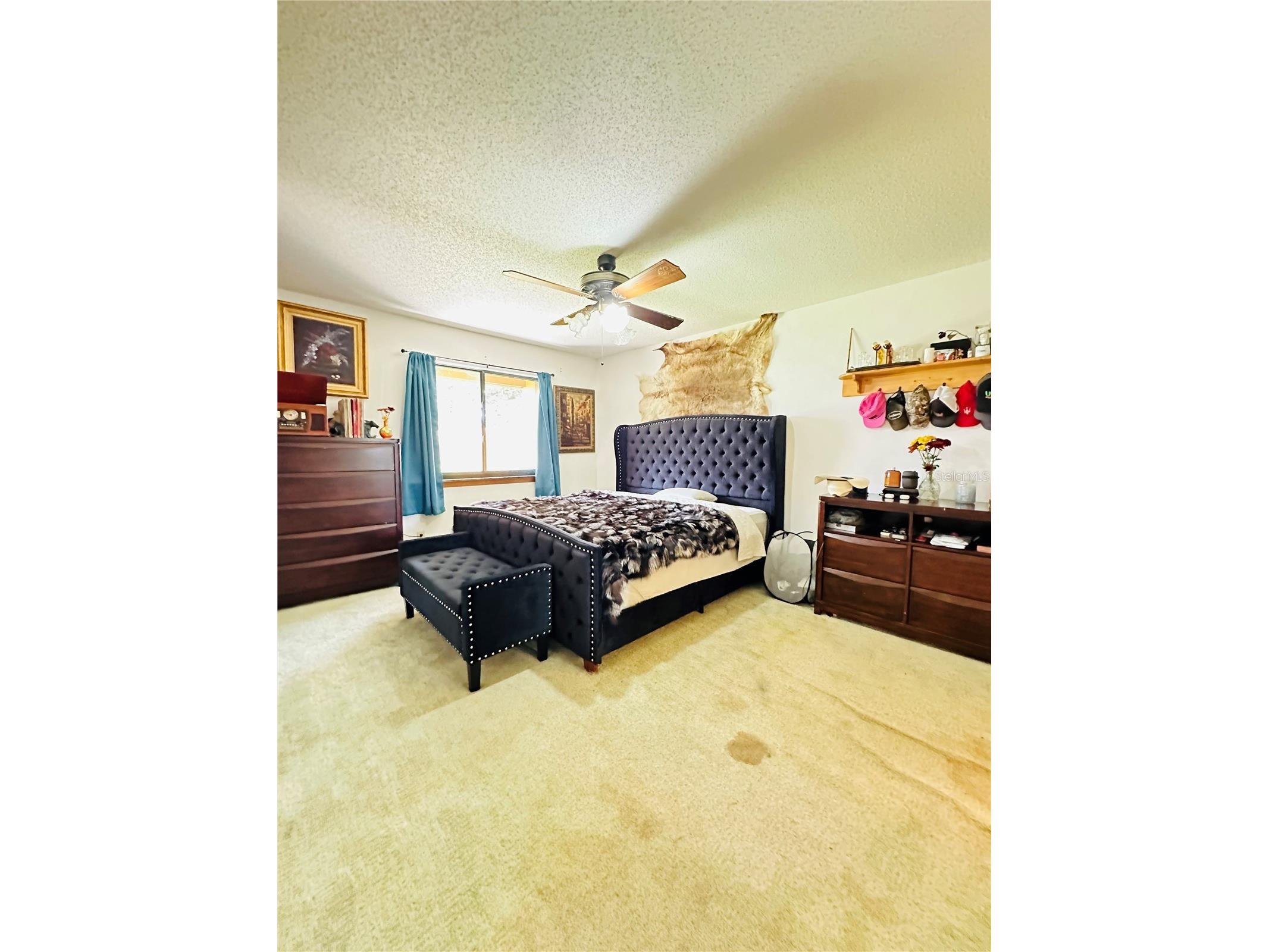 156 Lakewood Village Circle Daytona Beach FL 32119 S5145729 image13