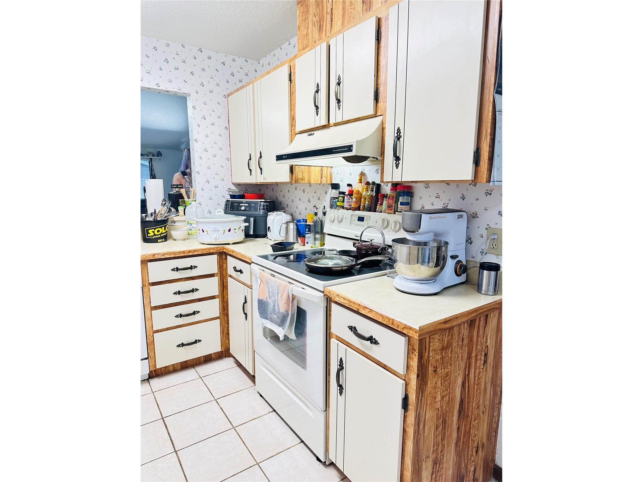 156 Lakewood Village Circle Daytona Beach FL 32119 S5145729 image4